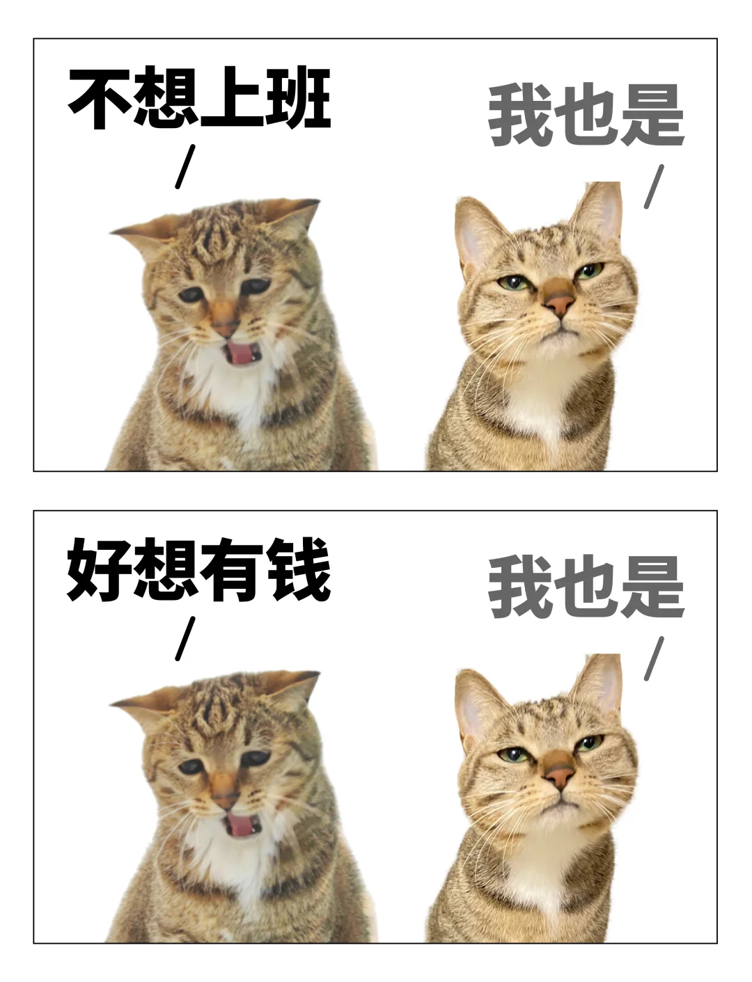 每天和朋友的对话