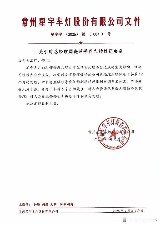 自己是公司大股东，自己还是自己公司的总经理，自己罚自己一年的工资，这样的惩罚也太