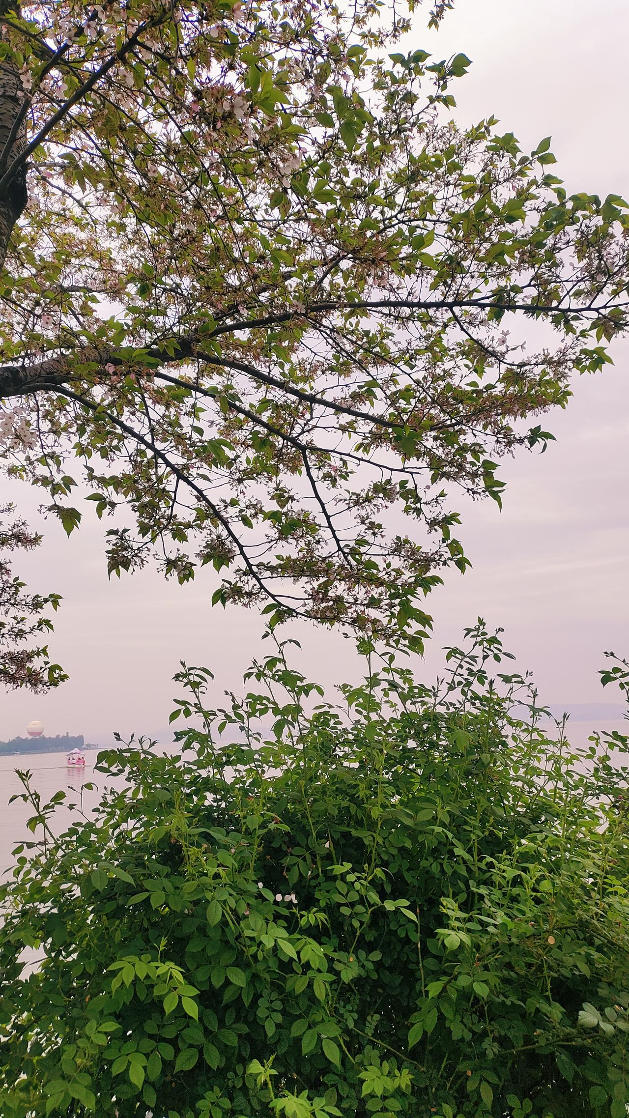 任何关系走到最后

都是孤独

小的时候

父母是我们的天

长大了就像鸟儿，飞