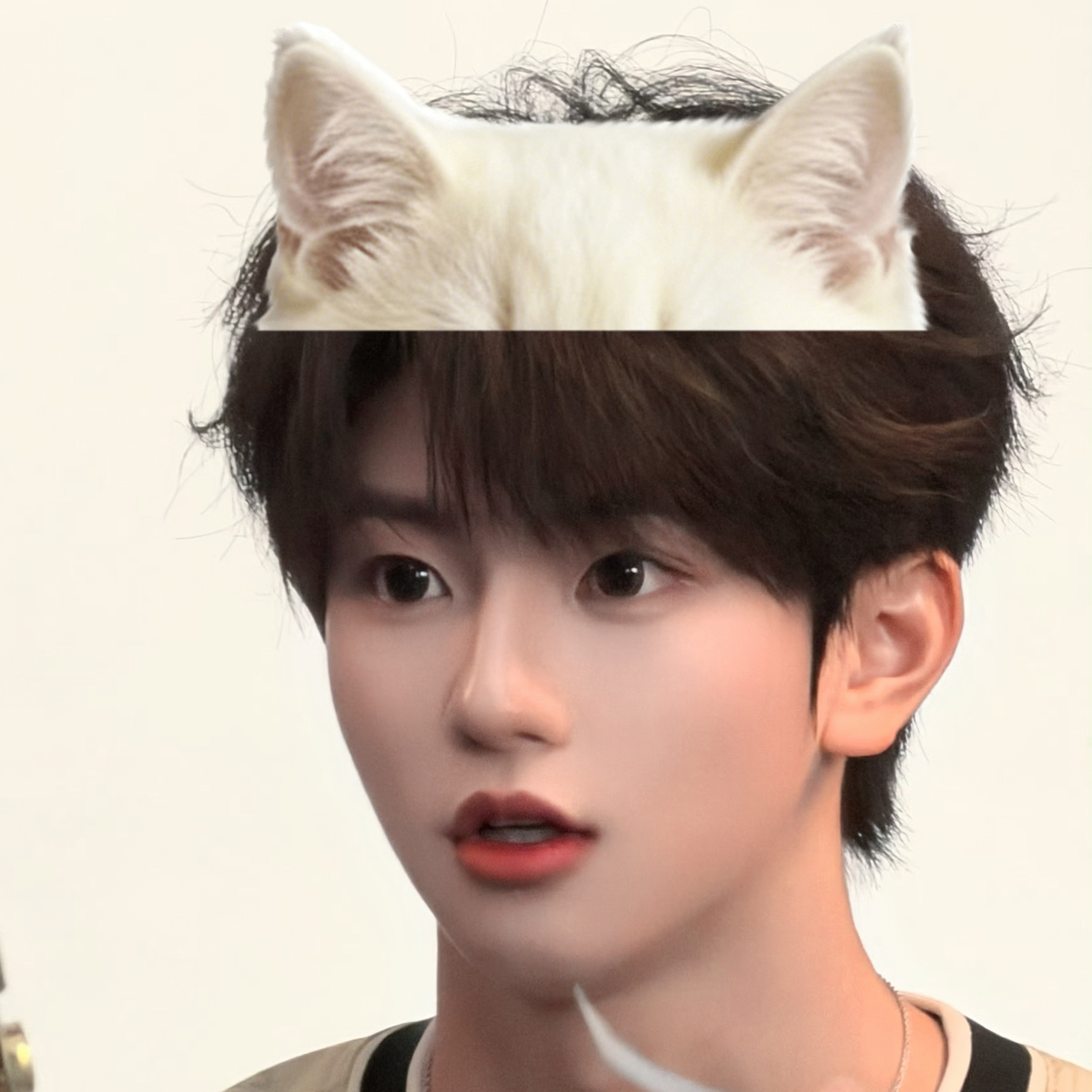 家有狗猫🐶🐱 