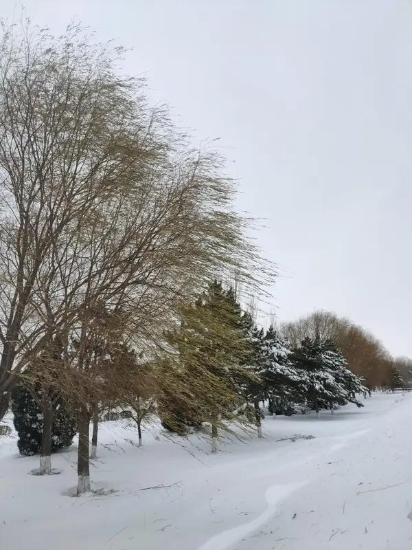 上联：春风摧残雪，
下联：夜雨润新花。