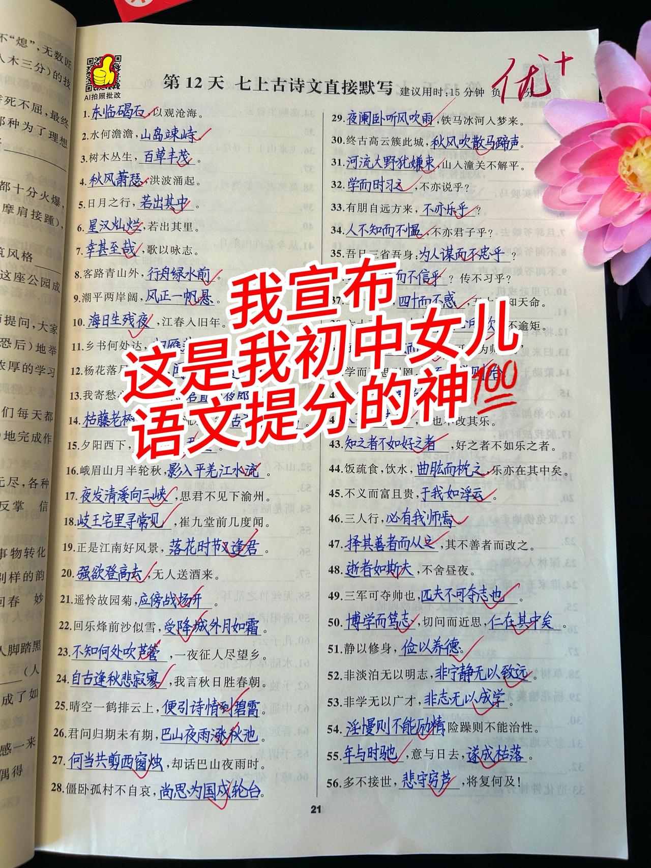 语文花开，七到九年级语文基础知识全覆盖！字音字形，古诗词文言文，通假字，词类活用