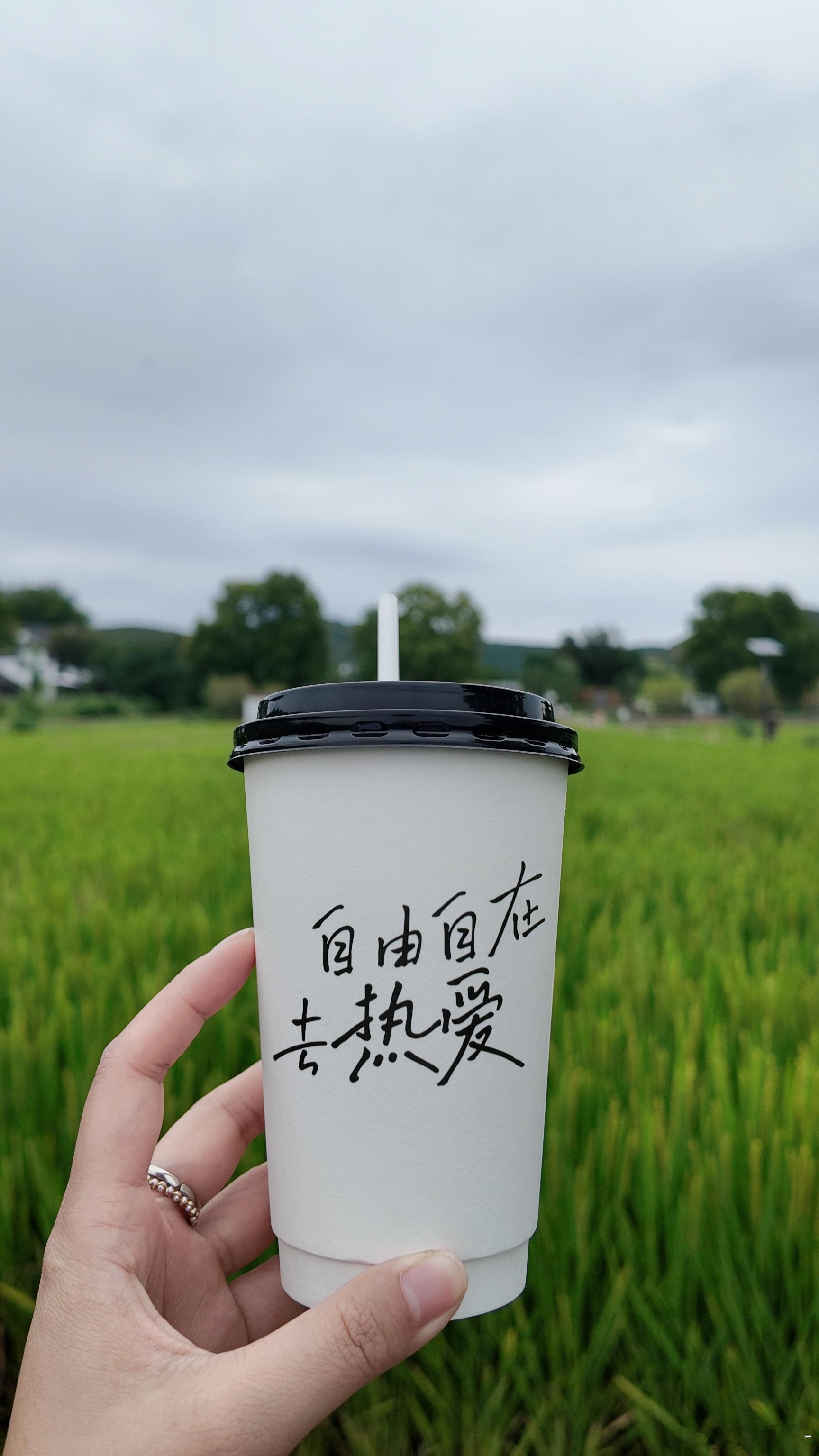 真正的强大，不是激烈的对抗，而是学会接纳一切——遗憾、丑陋、虚伪。即使付出没有回