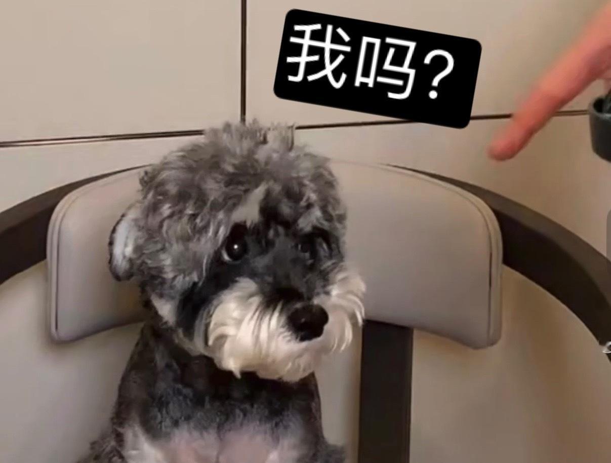 刘宇宁直播隔壁又打起来了哈哈哈哈哈，刘宇宁劝架 小呆代播 ​​​