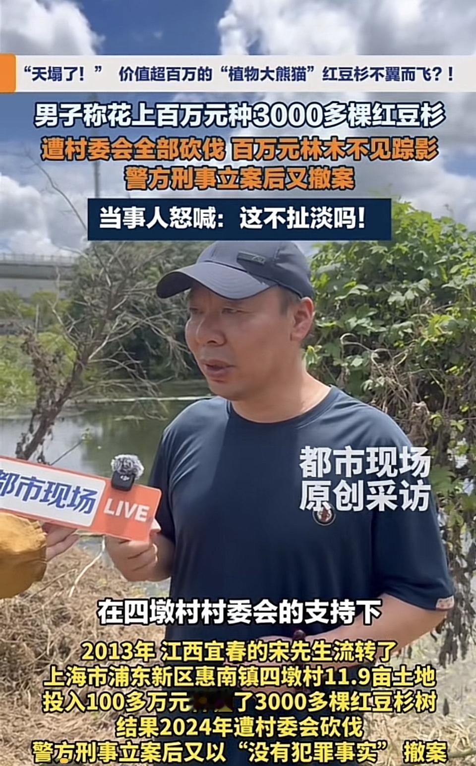 这事儿简直离谱啊！红豆杉可是有“植物大熊猫”之称的国家一级保护野生植物，有250