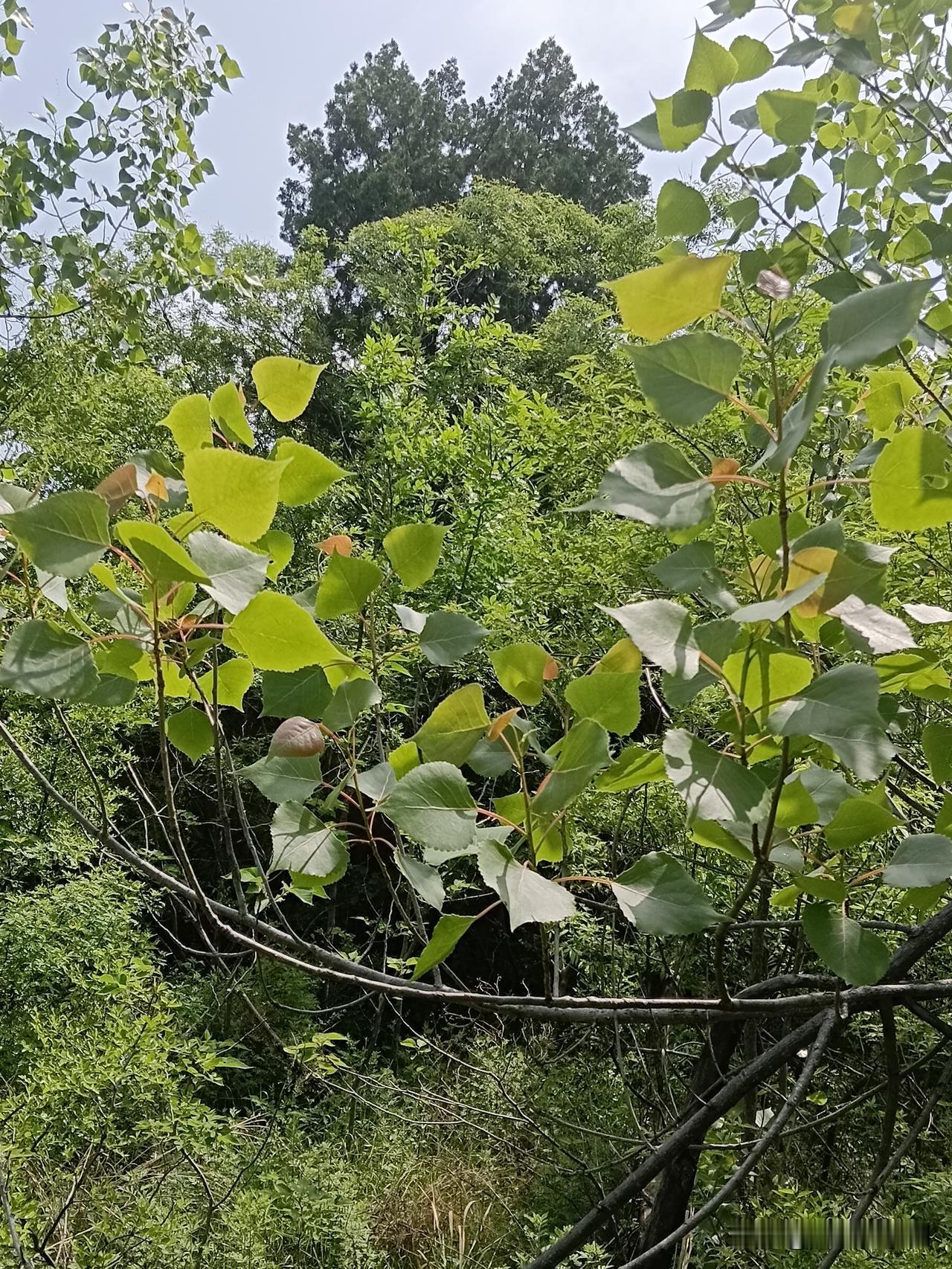 提笔即光芒，每一段文字都值得被看见
 
生活匆忙，总有人在烟火日常里坚守热爱；人