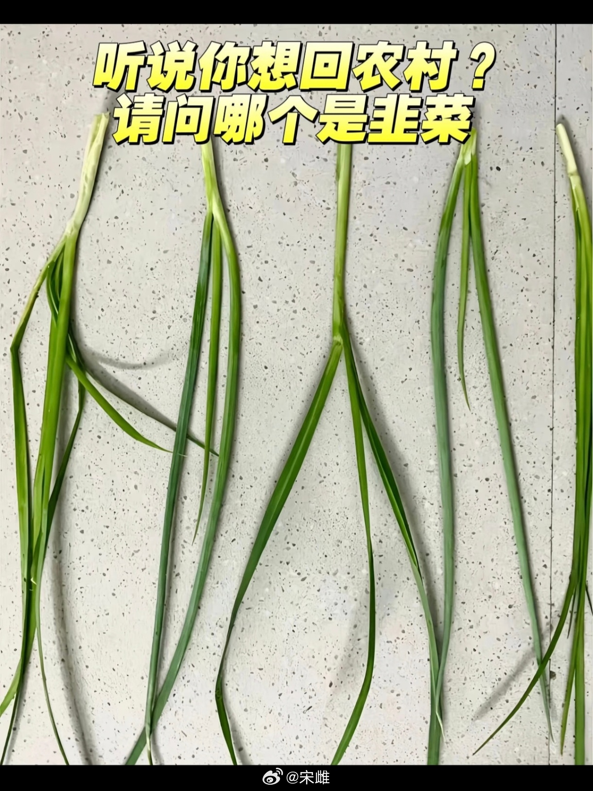 年轻人们，给出你们的答案，这五个分别是啥 晚上公布答案！ 