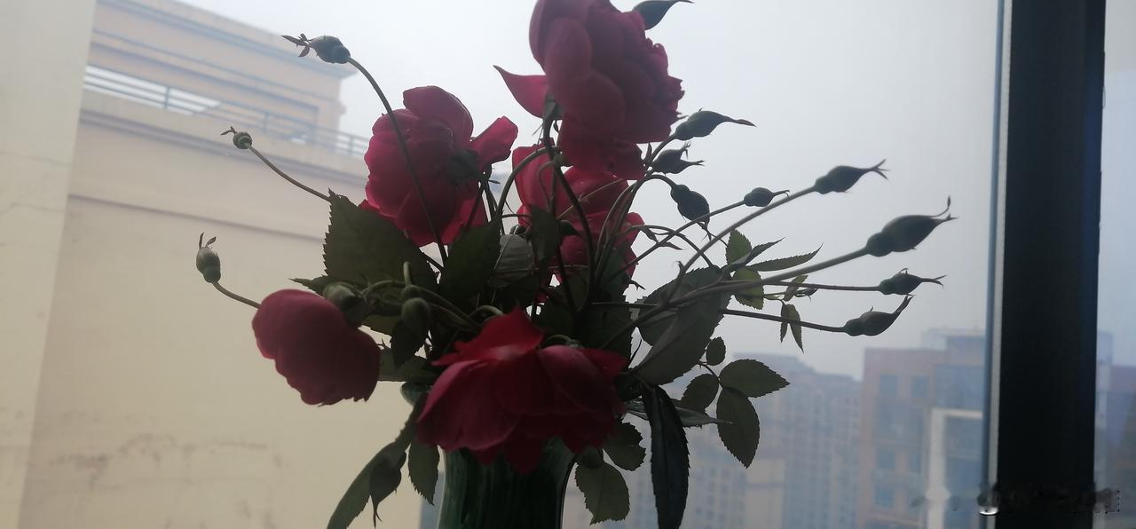 老伴对我说，这件羽绒服穿了好多年了，不要了。
我感觉很新奇，老伴从来没说过什么东