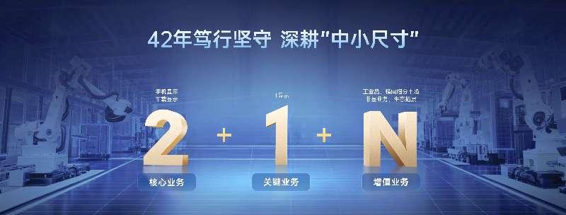 天马的“2+1+N”战略会一直坚持，以手机与车载显示为核心，IT显示为增长引擎，