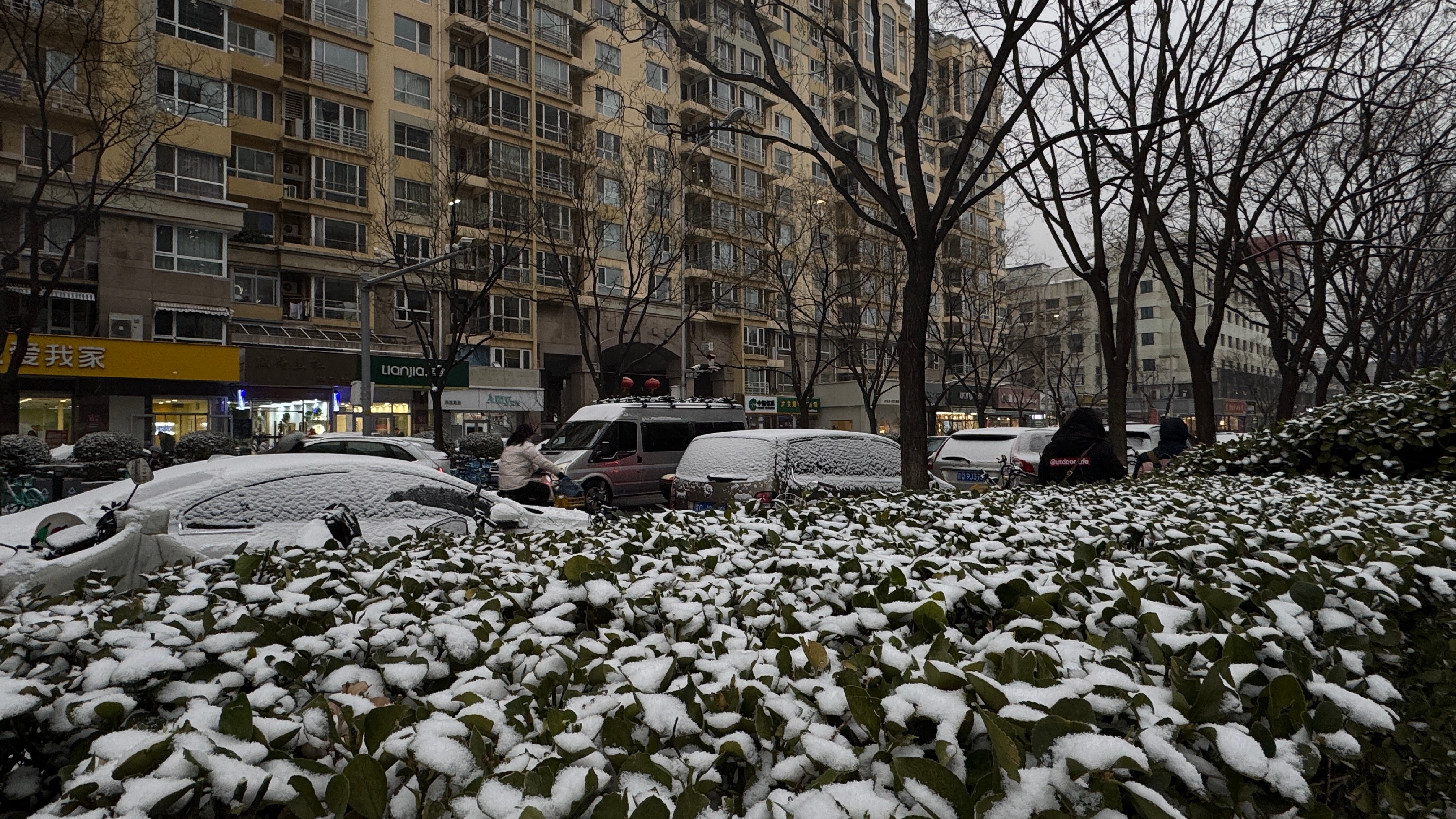 家门口的雪景儿摄影