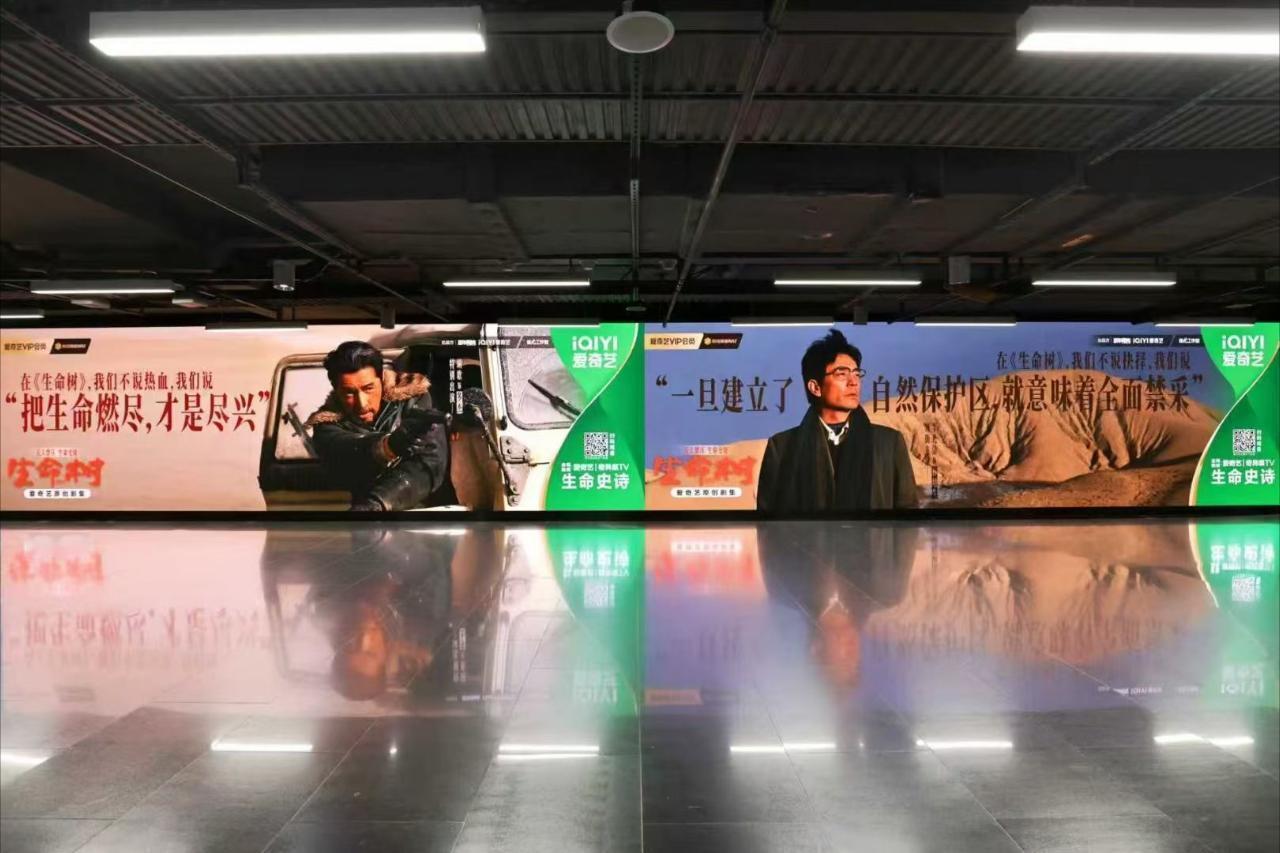 杨紫生命树超大地广 