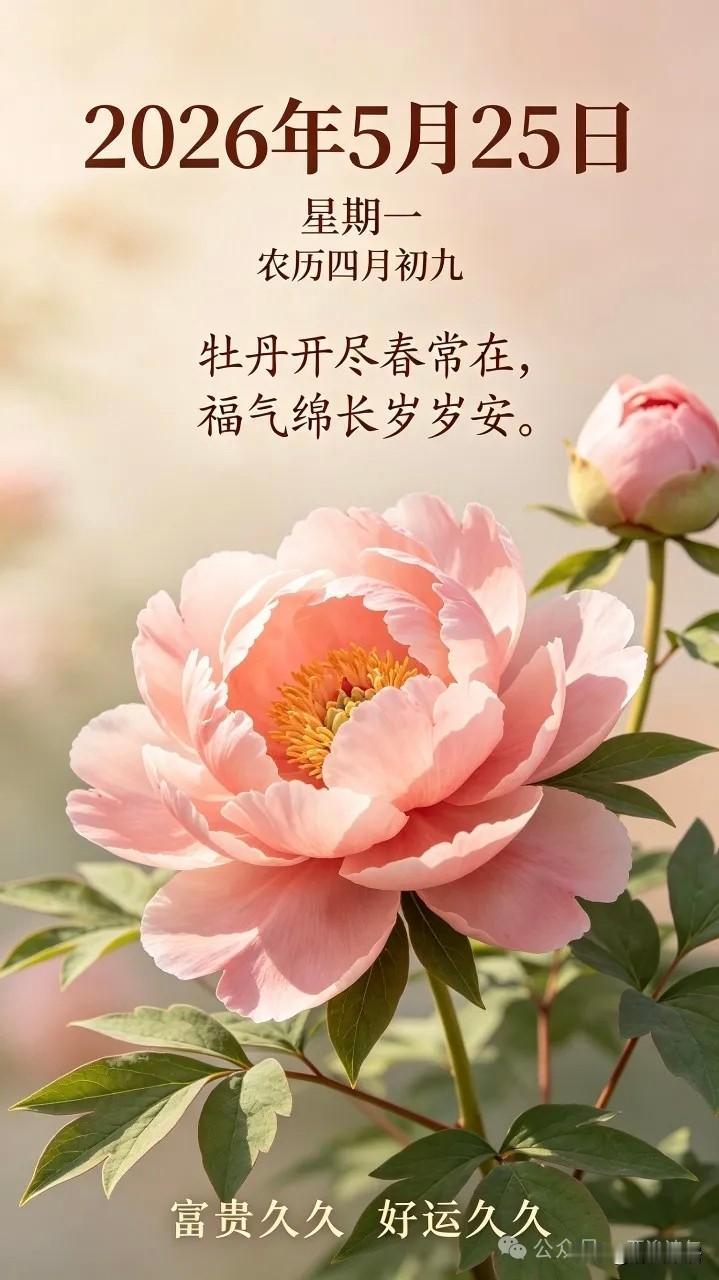 我认为好好休息。辛苦一辈子了，退休了就应该享受生活，安享晚年，不必再操劳了。