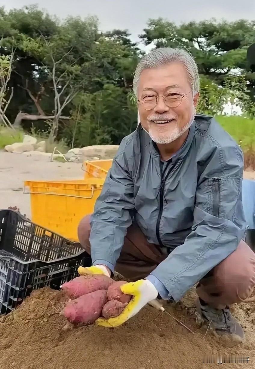 离开青瓦台，文在寅回乡当起庄稼汉。每月七万多退休金不稀罕，偏要下地刨红薯。泥巴满