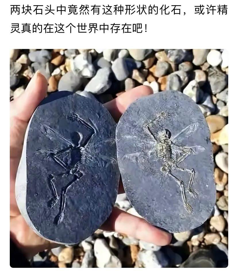 许多的物质是人类永远接触不到的