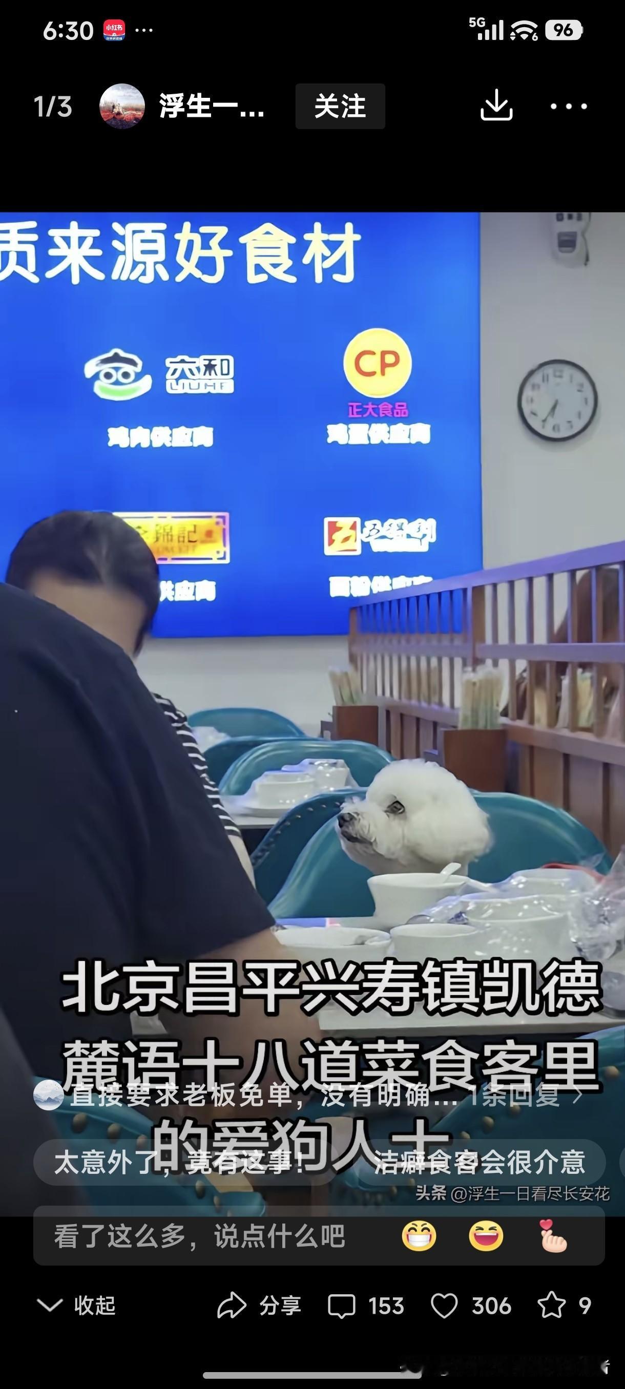 宠物狗进餐厅，宠物狗在餐厅用餐厅的碗盘进食，这种事情越反对越多了。
在如今“宠物