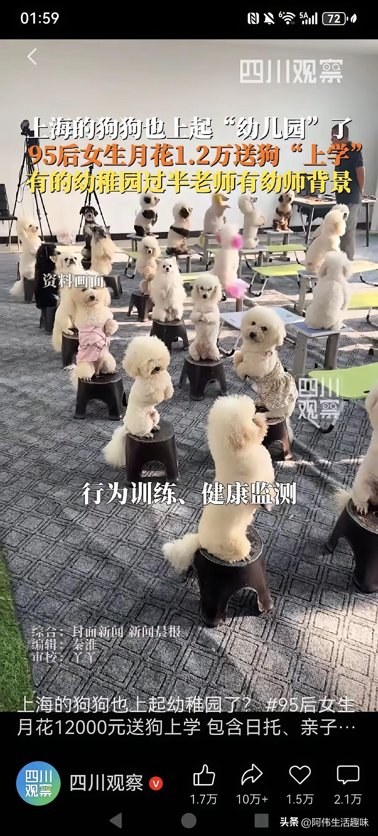 不愧是上海！
连养的狗狗都有“幼儿园”上，费用每个月1.2万元。
刷到这个视频时