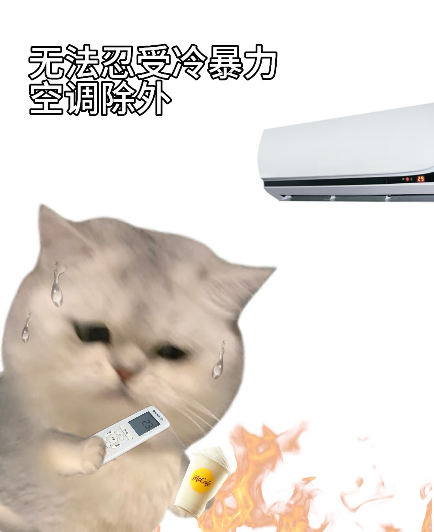 台风来的时候热台风走了更热🥵 