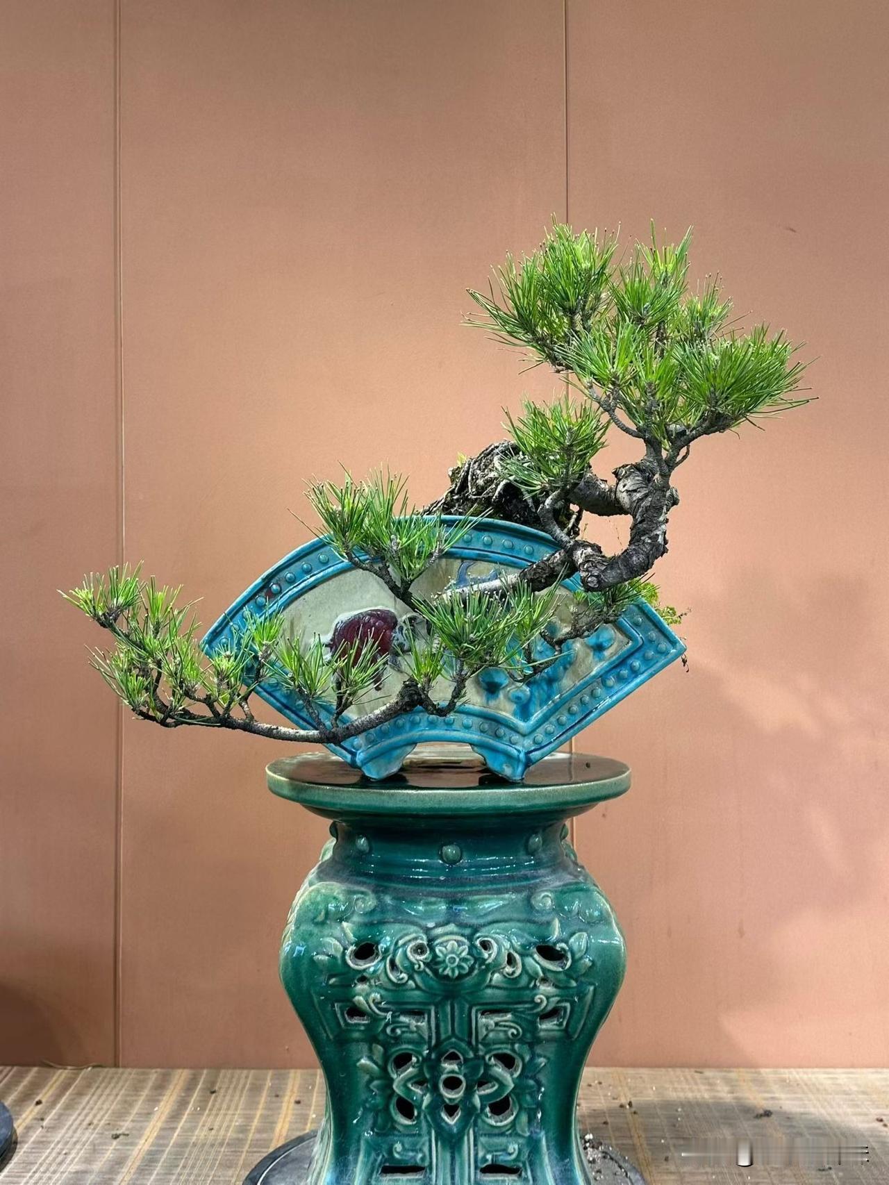 古朴青花陶瓷盆，精致松枝点缀，静谧雅致。黑松