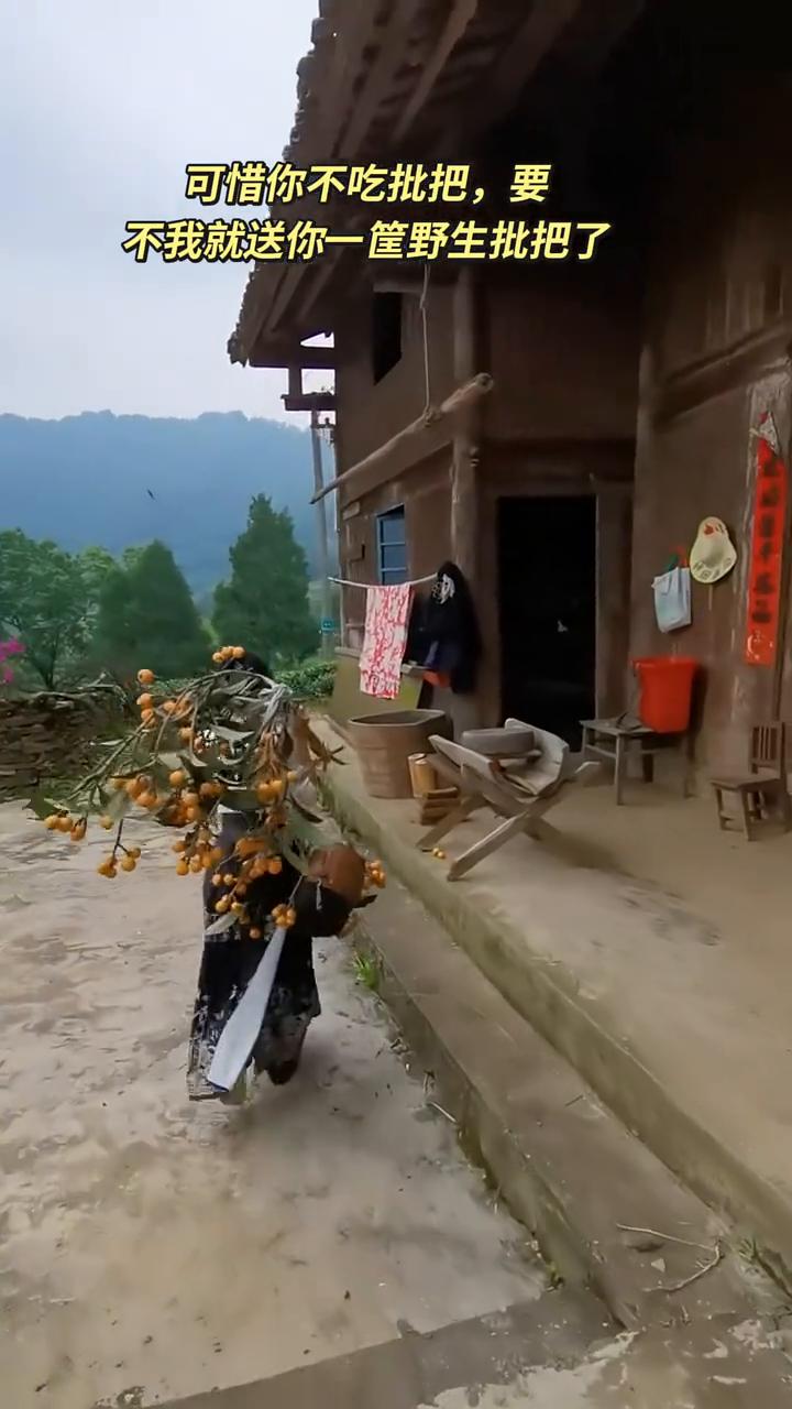 可惜你不吃批把，要不我就送你一筐野生批把了。