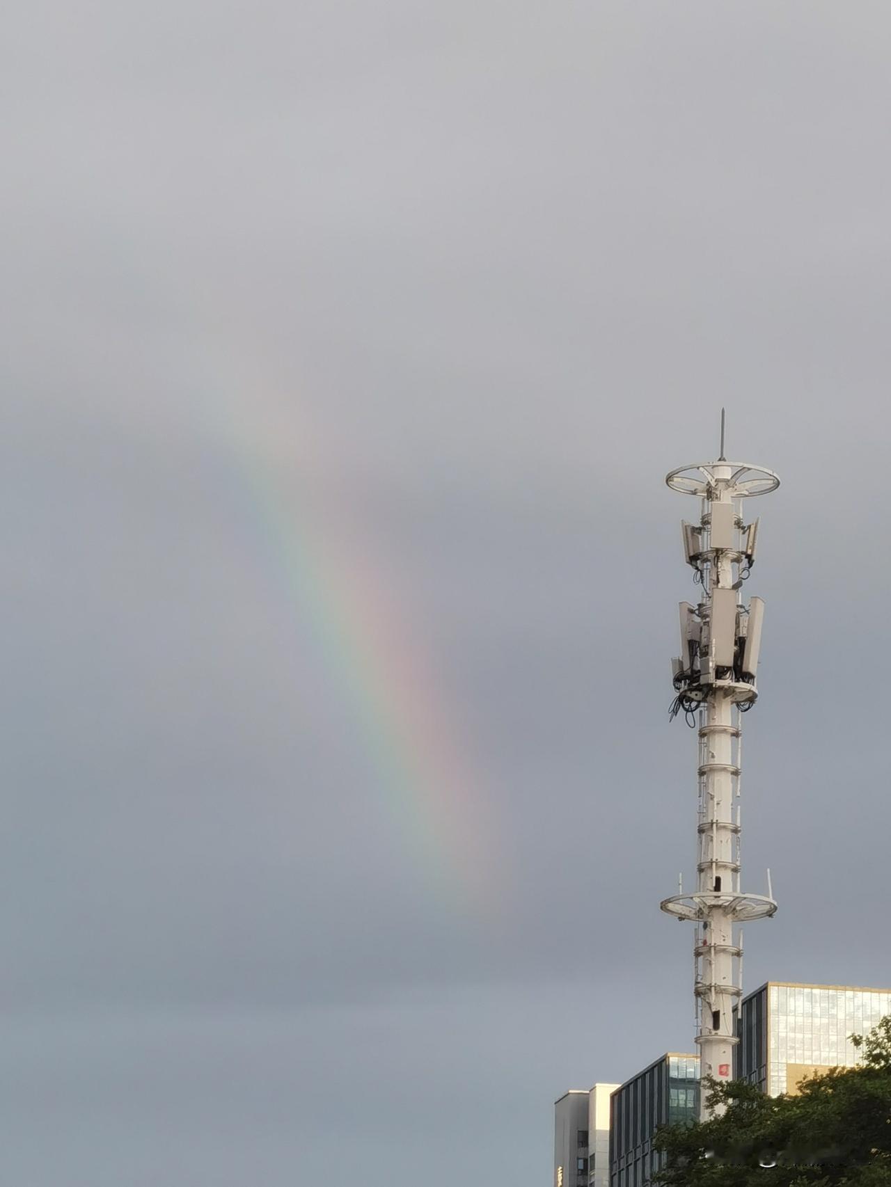 深圳宝安的雨终于停了！🌈 抬头撞见一道淡淡的彩虹，挂在信号塔和云层之间，瞬间被