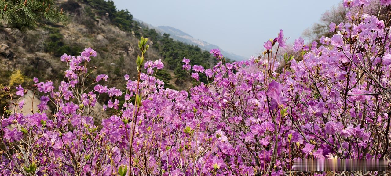 离职退群写小作文的人，后来都成了前同事酒桌上的笑话

前公司有个同事离职，退群前