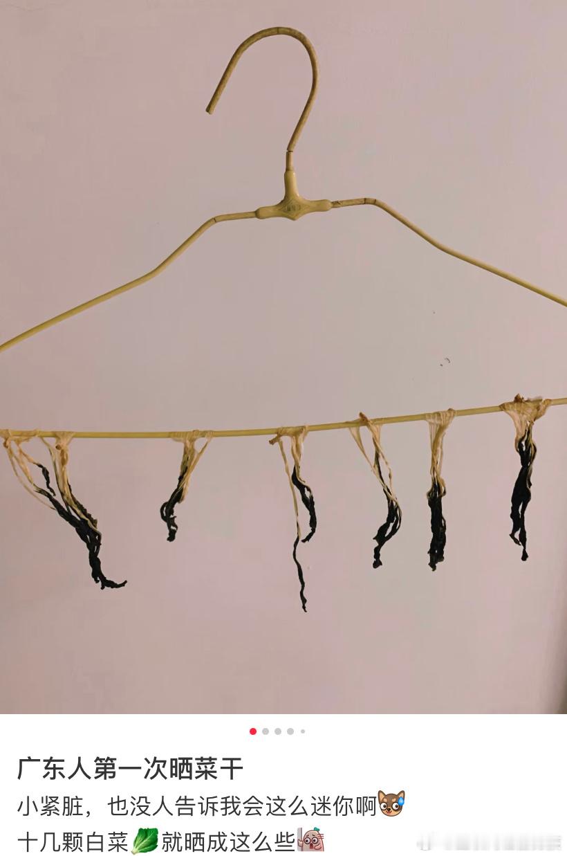 广东人晒菜干be like 