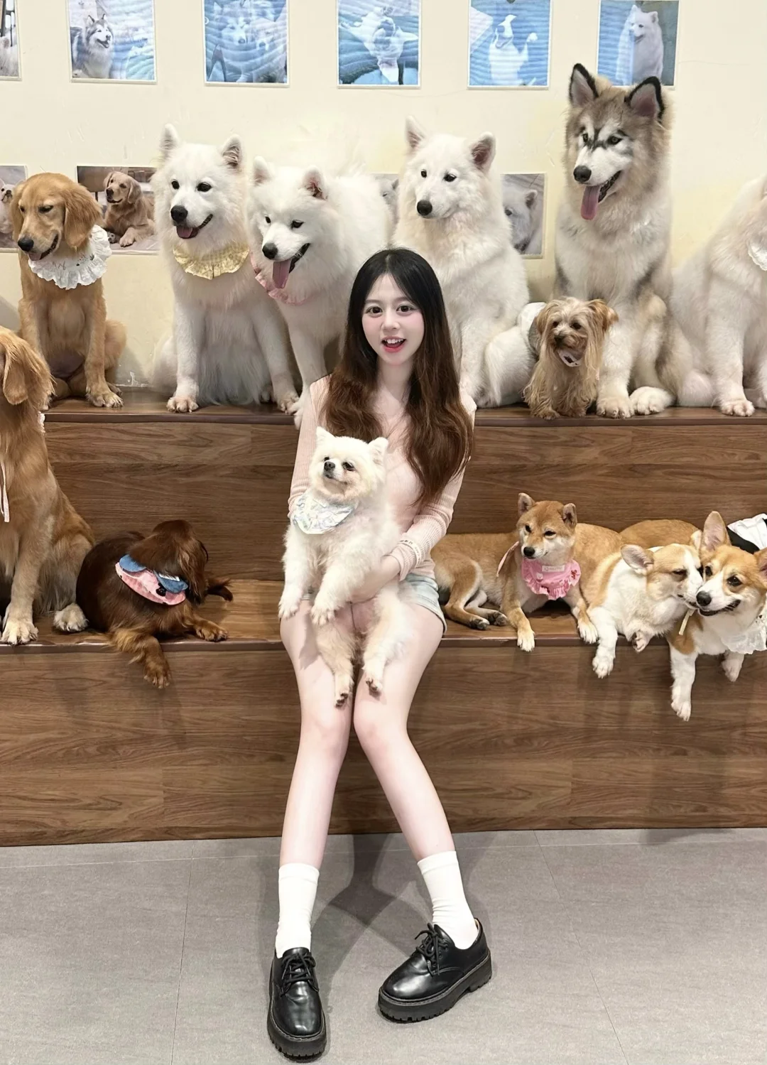 福州探店🐶Doka狗咖