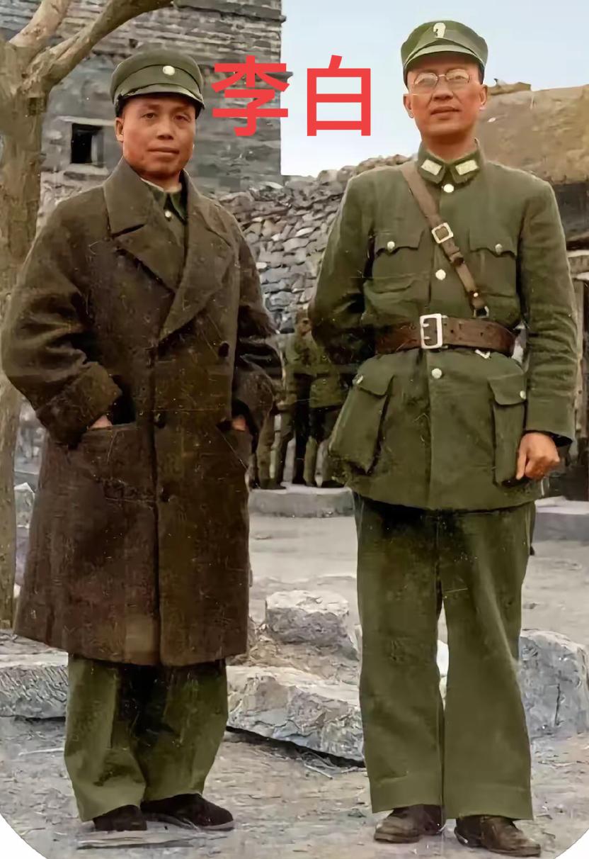 李宗仁：“健生（白崇禧），哪里都可以去，唯独不能去台湾，与老蒋为伍啊！”当时白崇