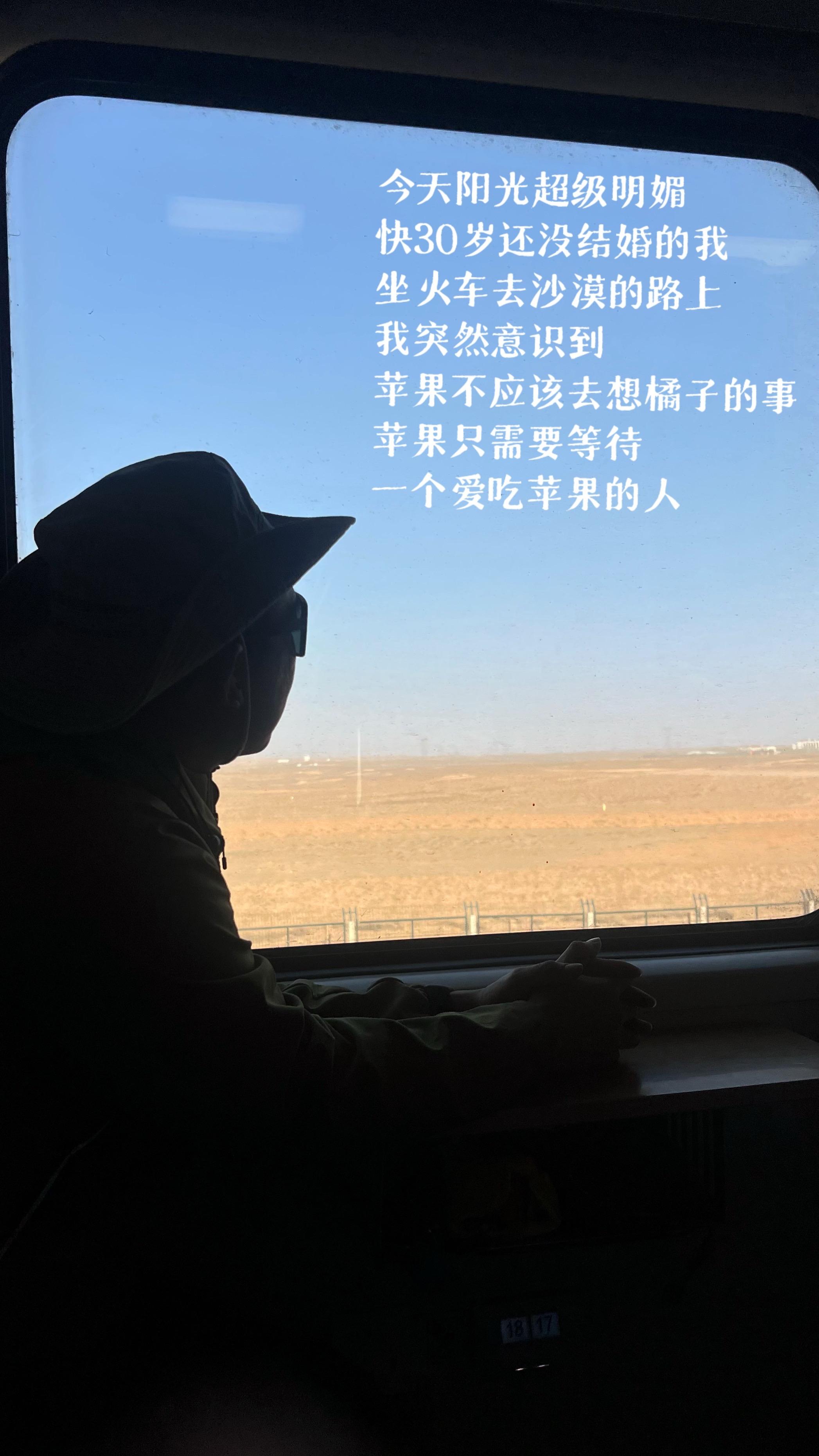 由南向北沉默的驶着