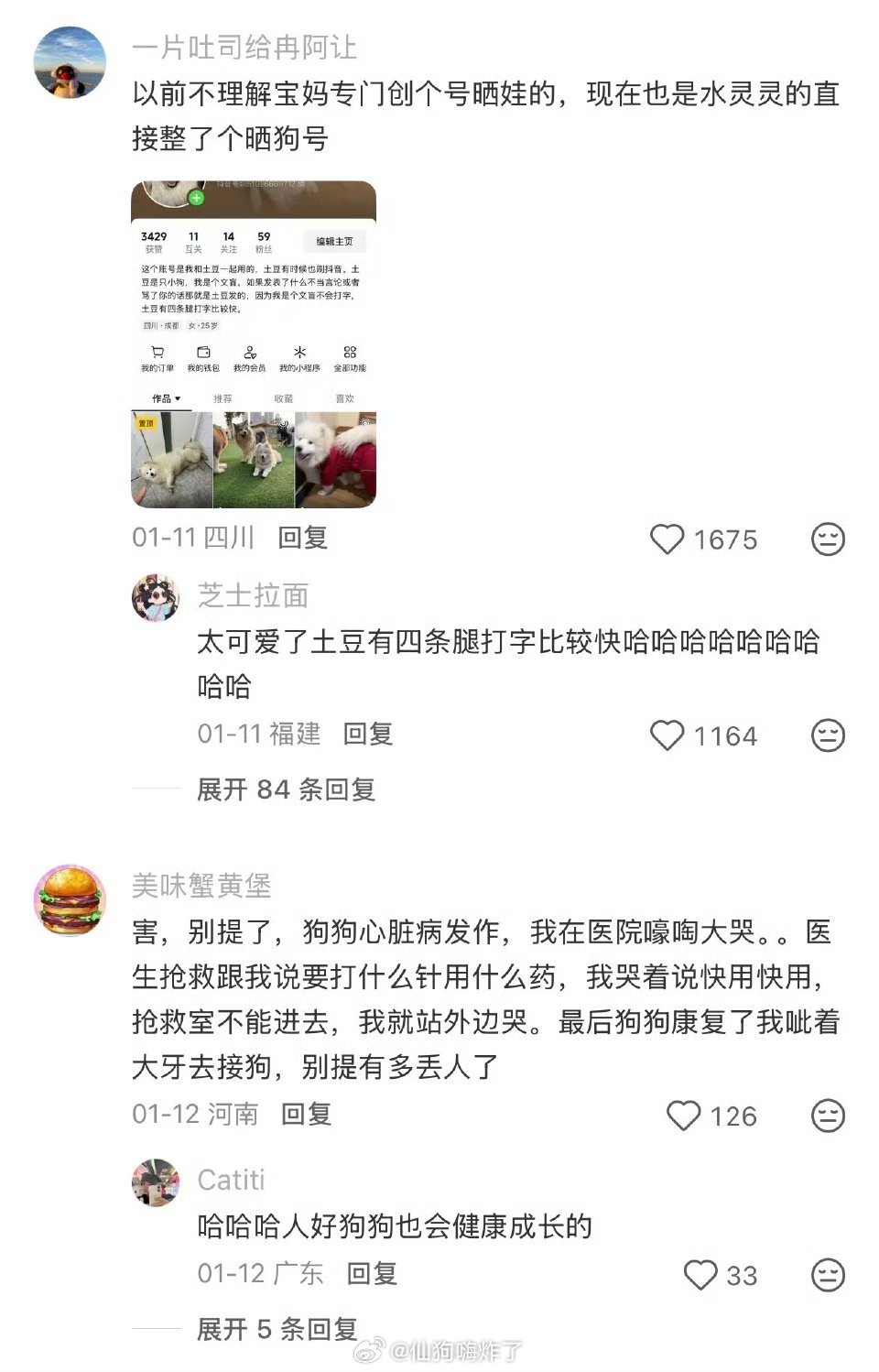 养狗后正式确诊为子涵妈自从养了狗，彻底化身子涵妈。出门寄养总反复翻看动态，连小家