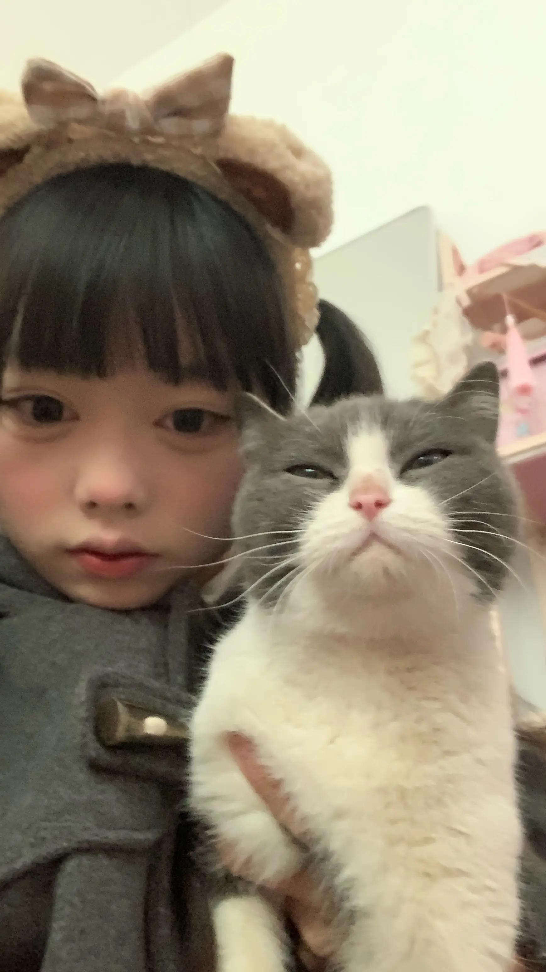 小猫，你不耐烦。