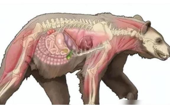 1985年，桑顿的飞机发生事故，导致1500万美元的可卡因散落在森林中。结果，一