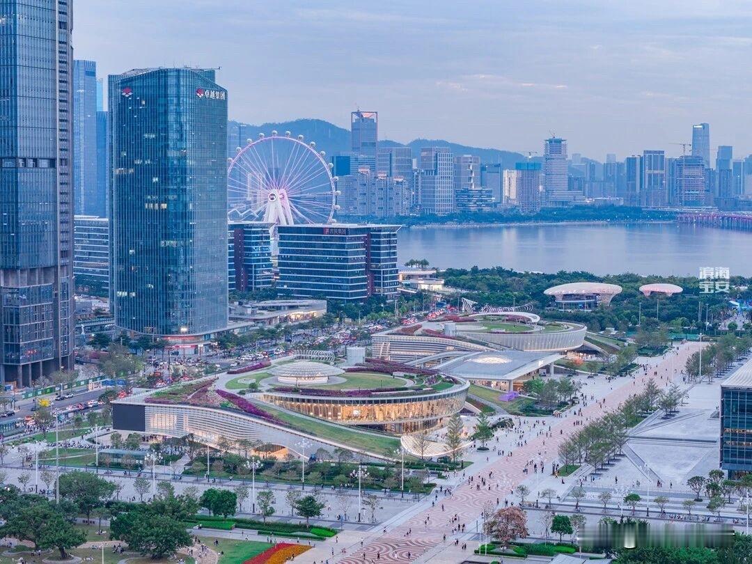 很多人这辈子没亲历过深圳四十余年的惊艳蝶变，但却见证了小深圳——前海这十年从滩涂