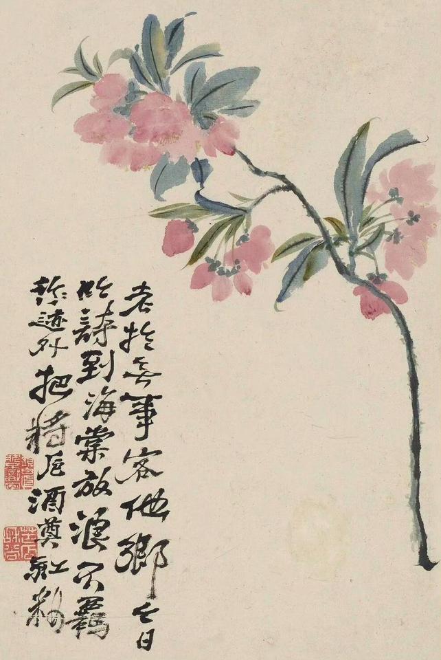 是草木在纸上撒野啊 🌿
 
你敢信吗？石涛画花，根本不按常理来
牡丹不端着，枝