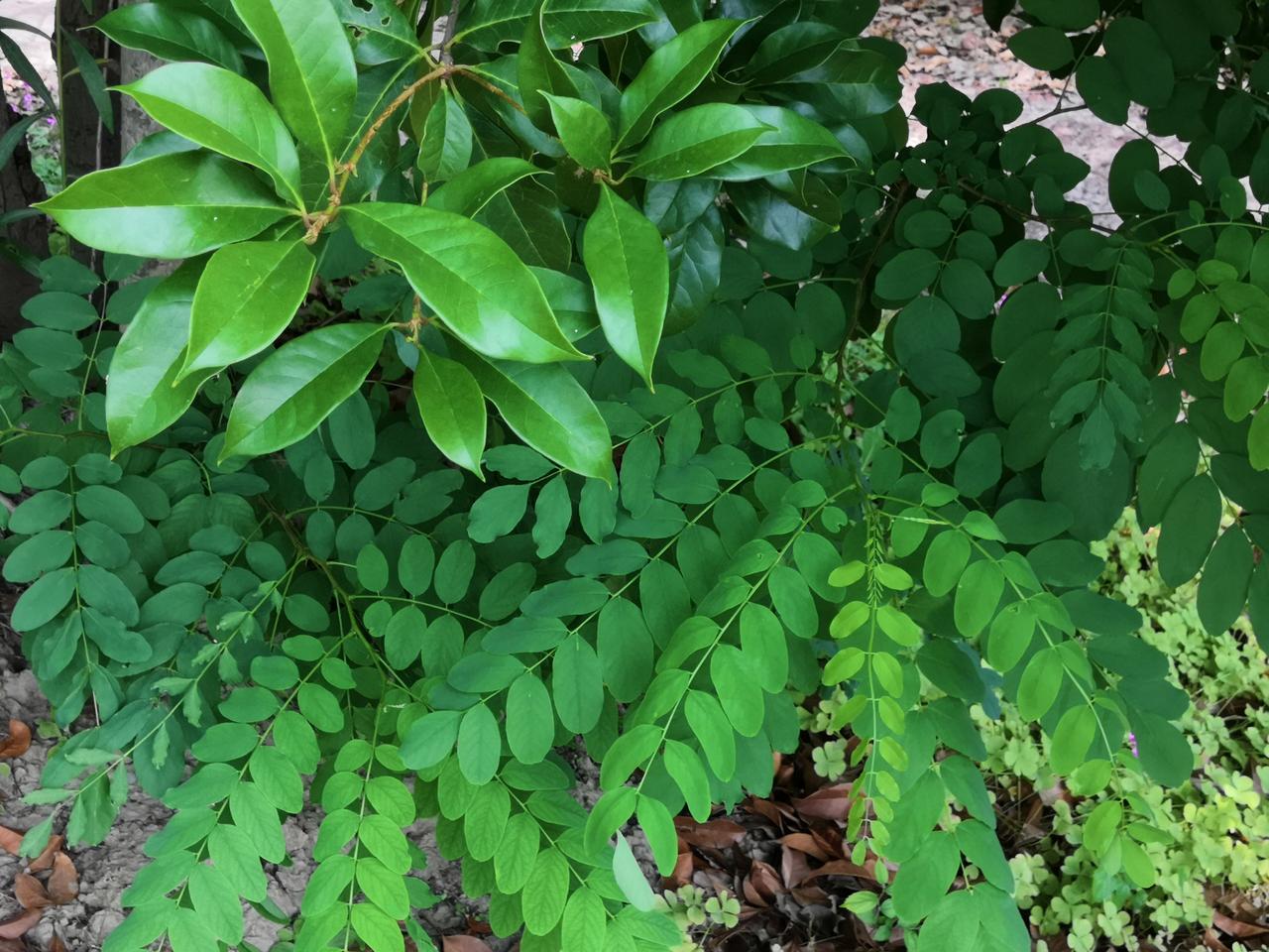 我现在开始担心我女儿的终身大事了，不是年龄的原因，而是思想观念！难不成她们这几个