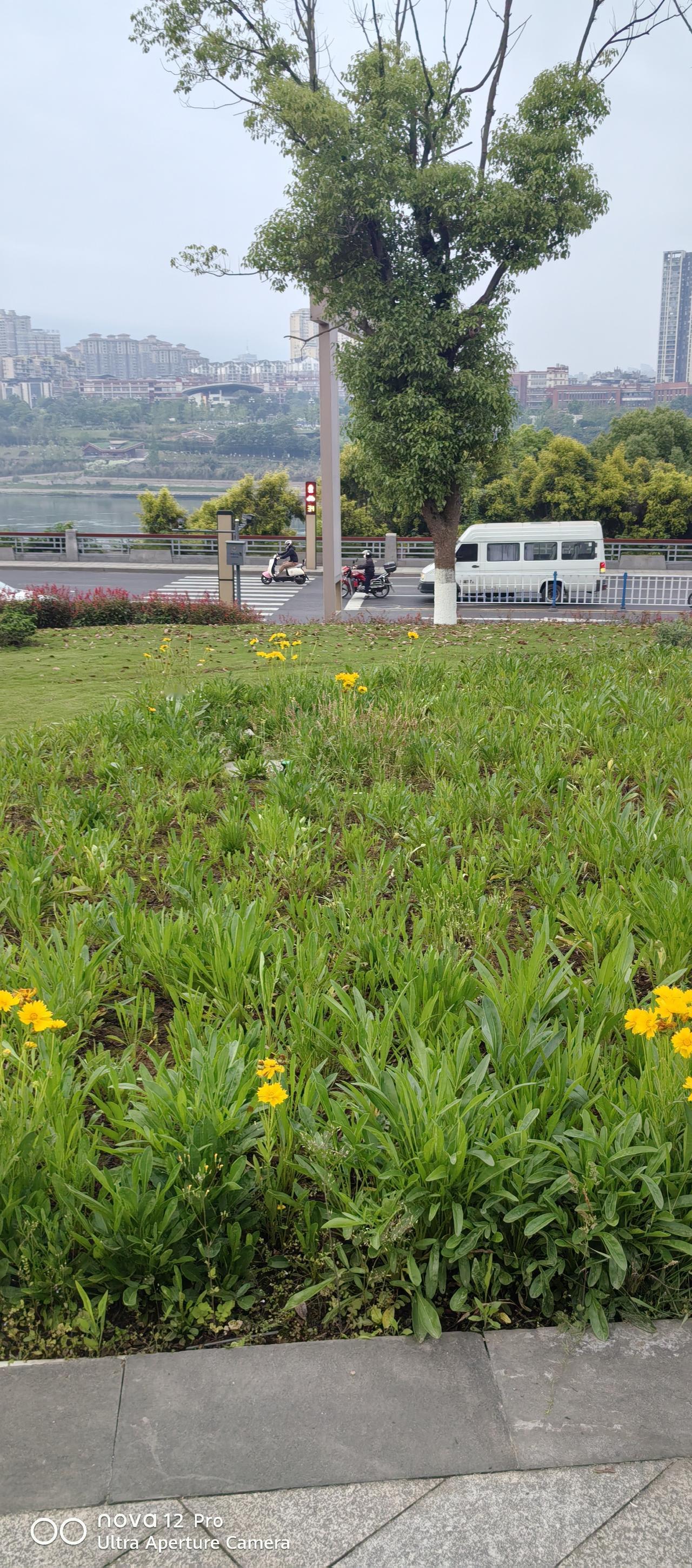 工资确没变样[捂脸][捂脸][捂脸]
城市虽然高速发展，
但是当地工资确变化不大
