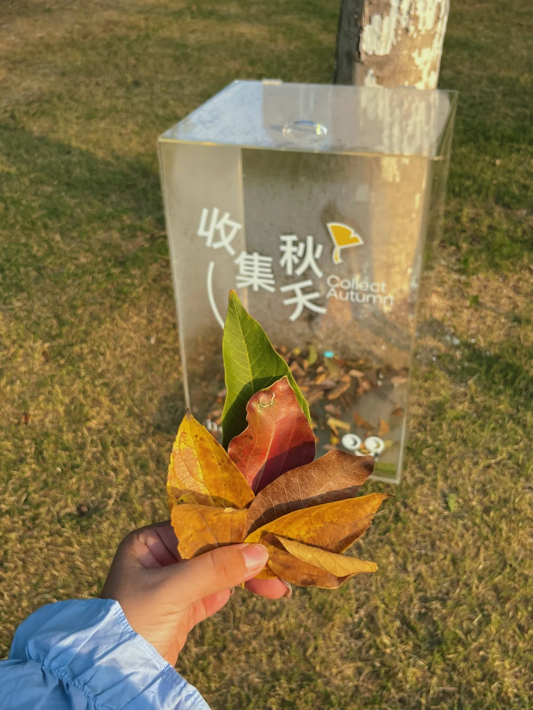 没想到临平银泰inPARK这么好逛～真的好出片