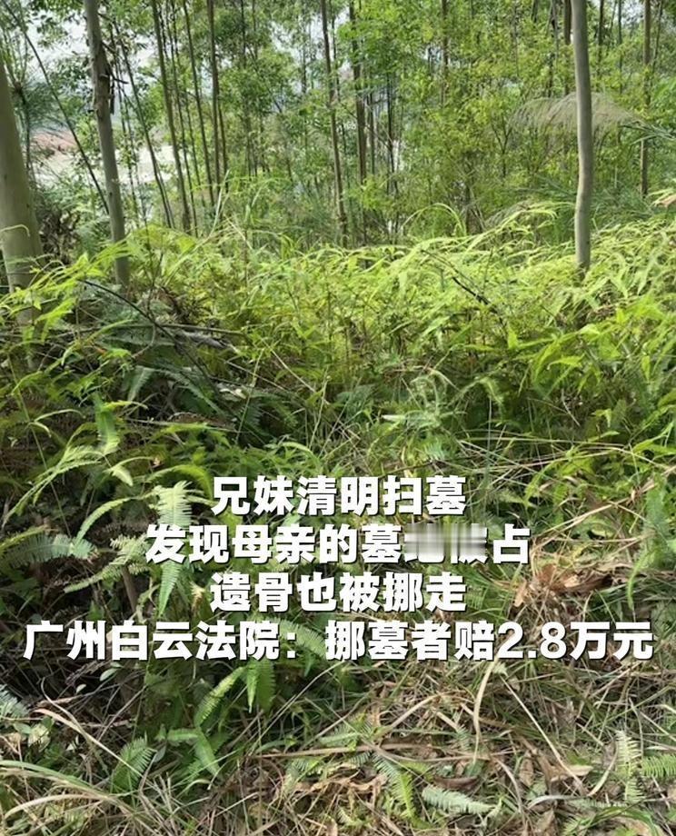 太荒唐了！广东一对兄妹趁着清明节上山祭祖，推开半人高的杂草一看，瞬间觉得五雷轰顶