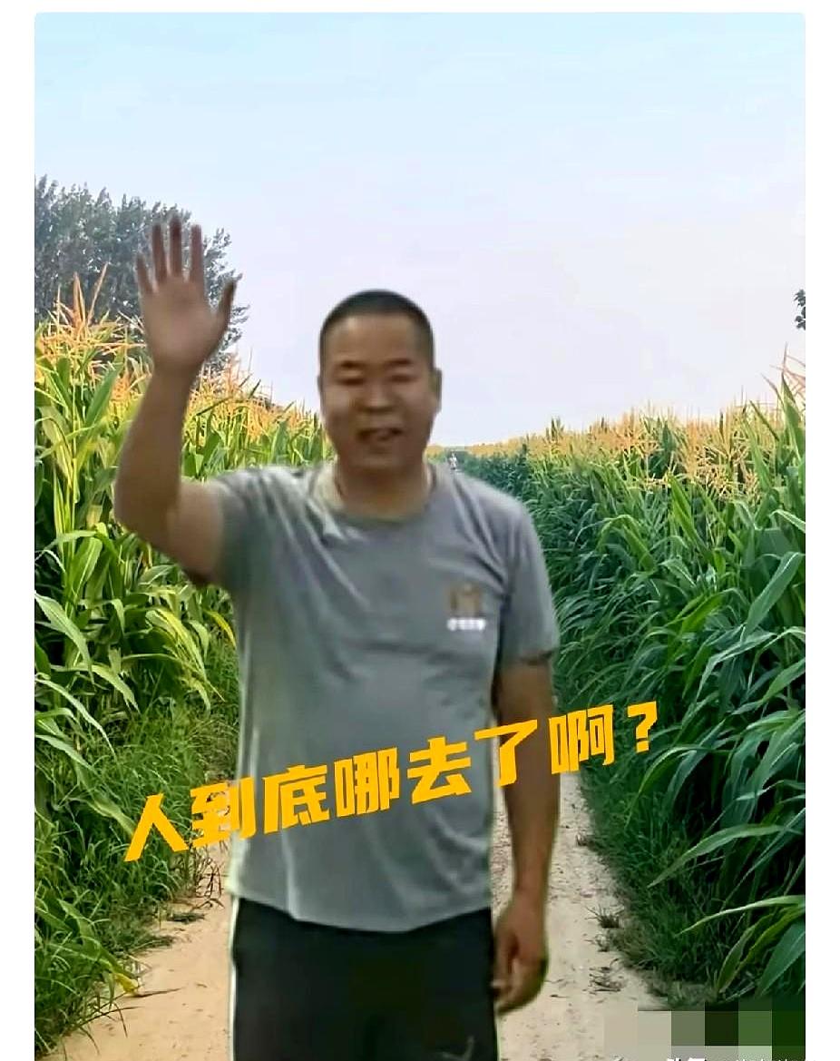 几百号人、警犬、无人机全都上了，结果把一大片玉米地翻得跟“刚收完秋”似的，愣是没