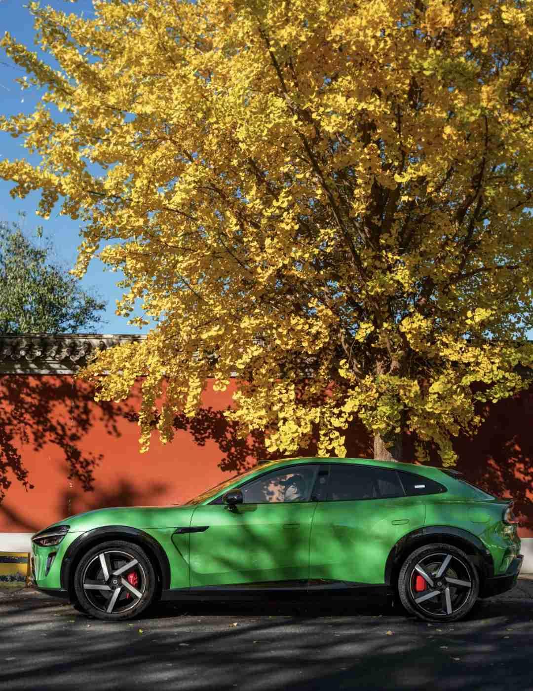 我的今日状态：😁轻松愉快
我这里的天气：☀️晴天