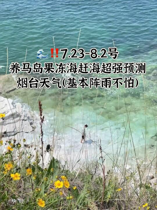 📍7.22-8.2号烟台养马岛果冻海超强预测