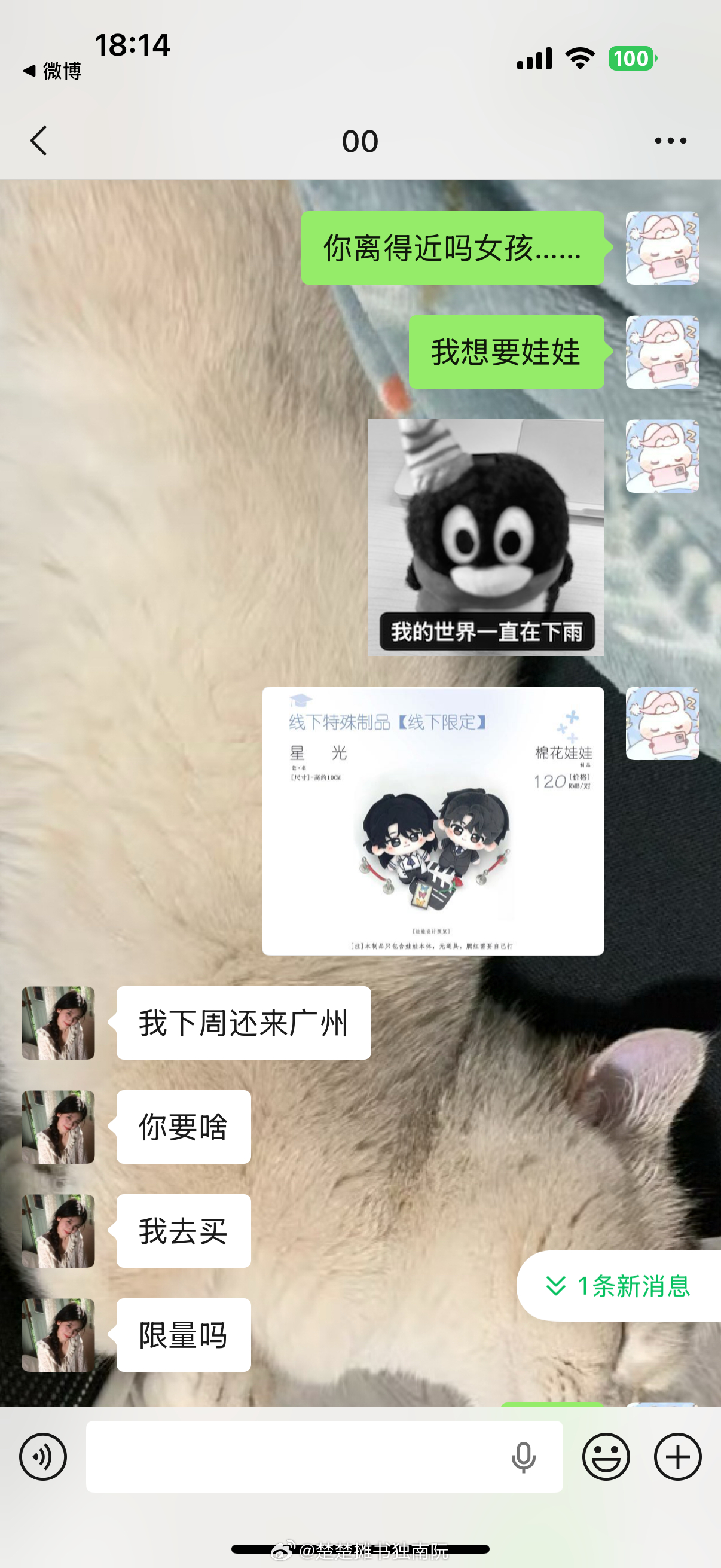最动听的告白