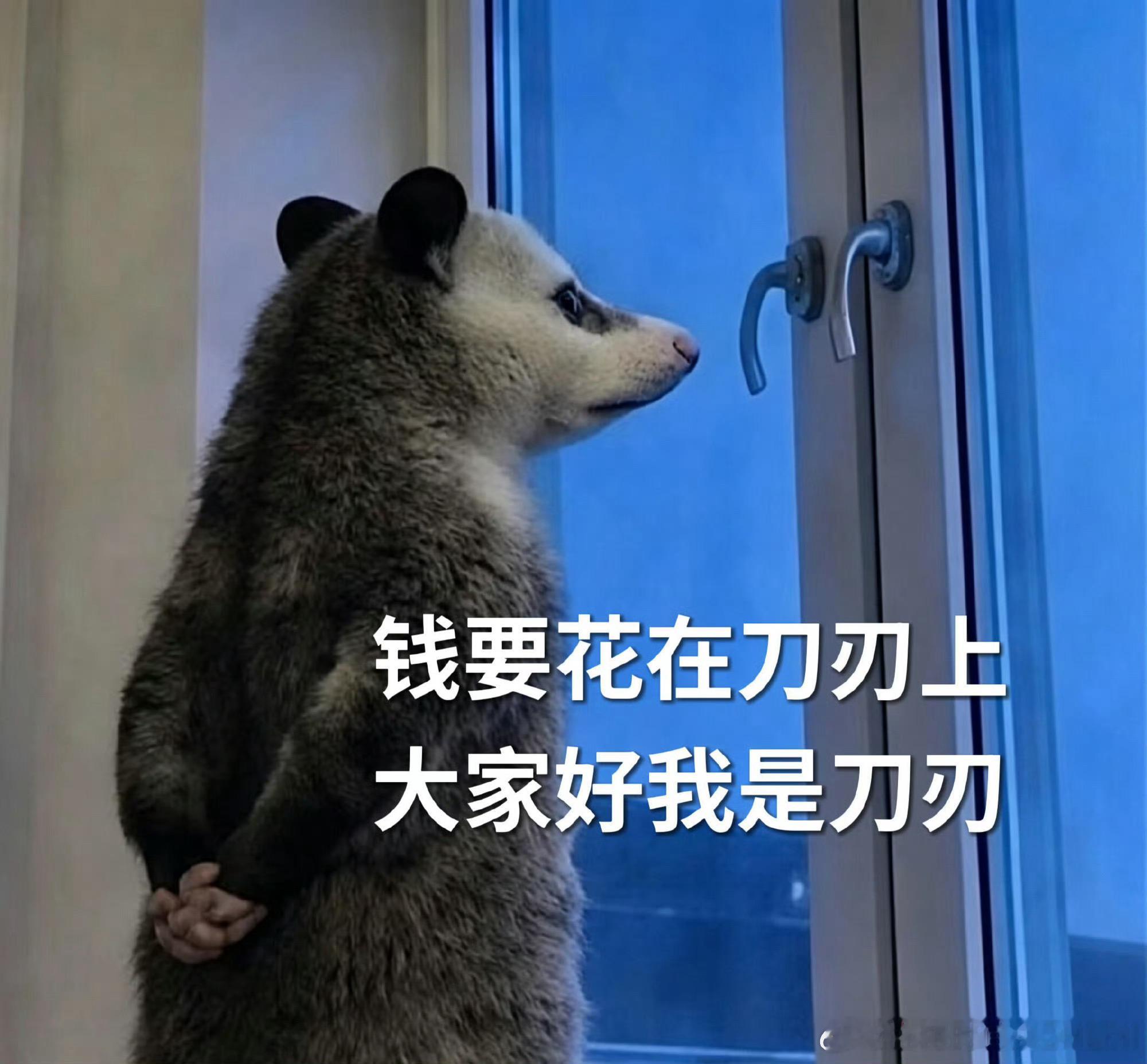 我觉得以后每个人都要掌握一些对模型基本能力的判断技能。我用大白话给你们简单罗列一