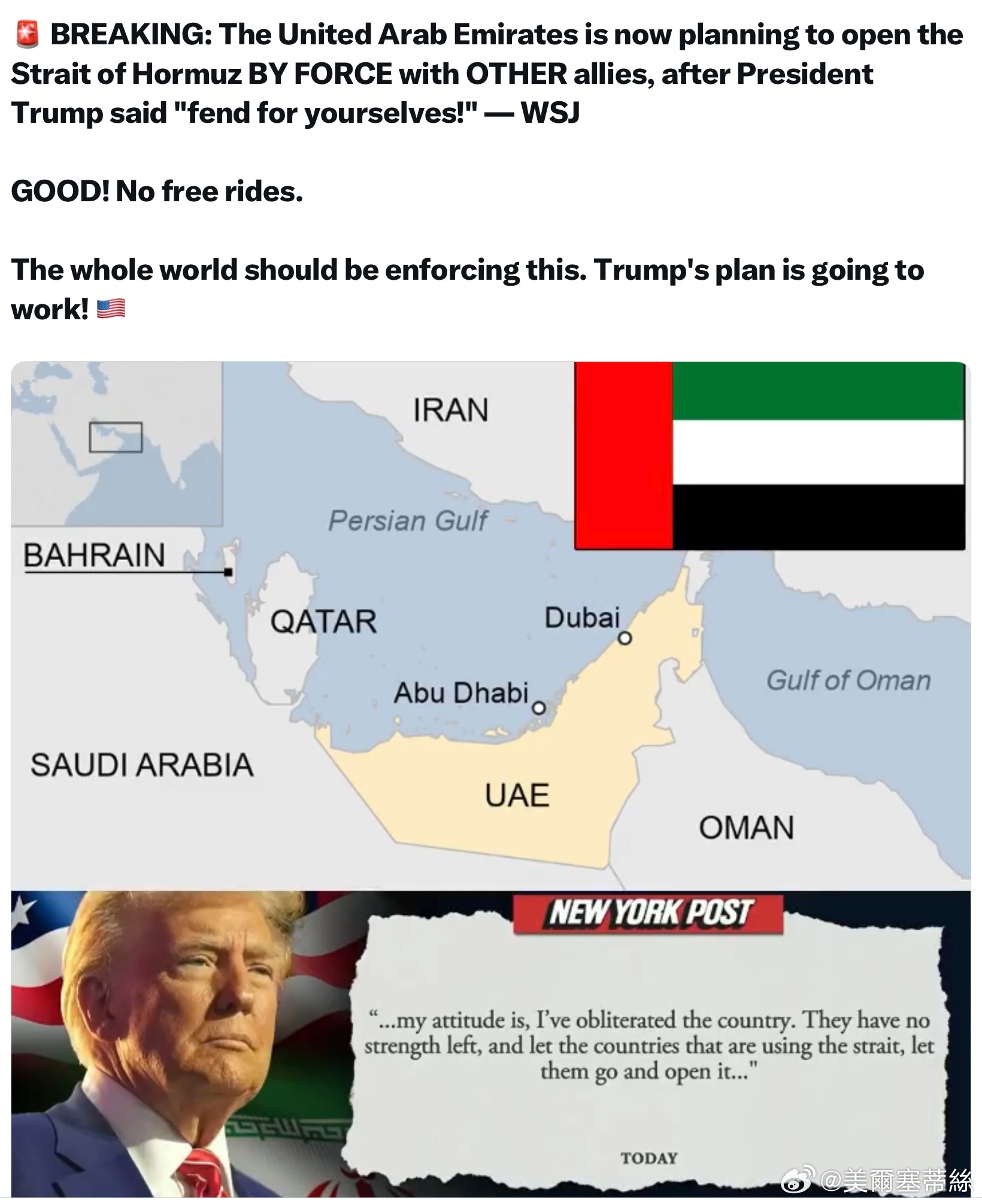 《華爾街日報》：在川普總統提出「你們自己去想辦法吧！」之後，阿聯酋目前正計劃聯合