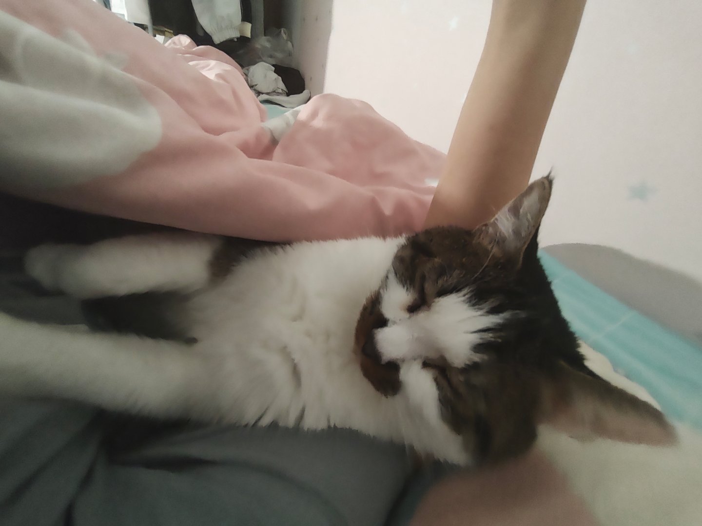 这玩意真世贸啊 