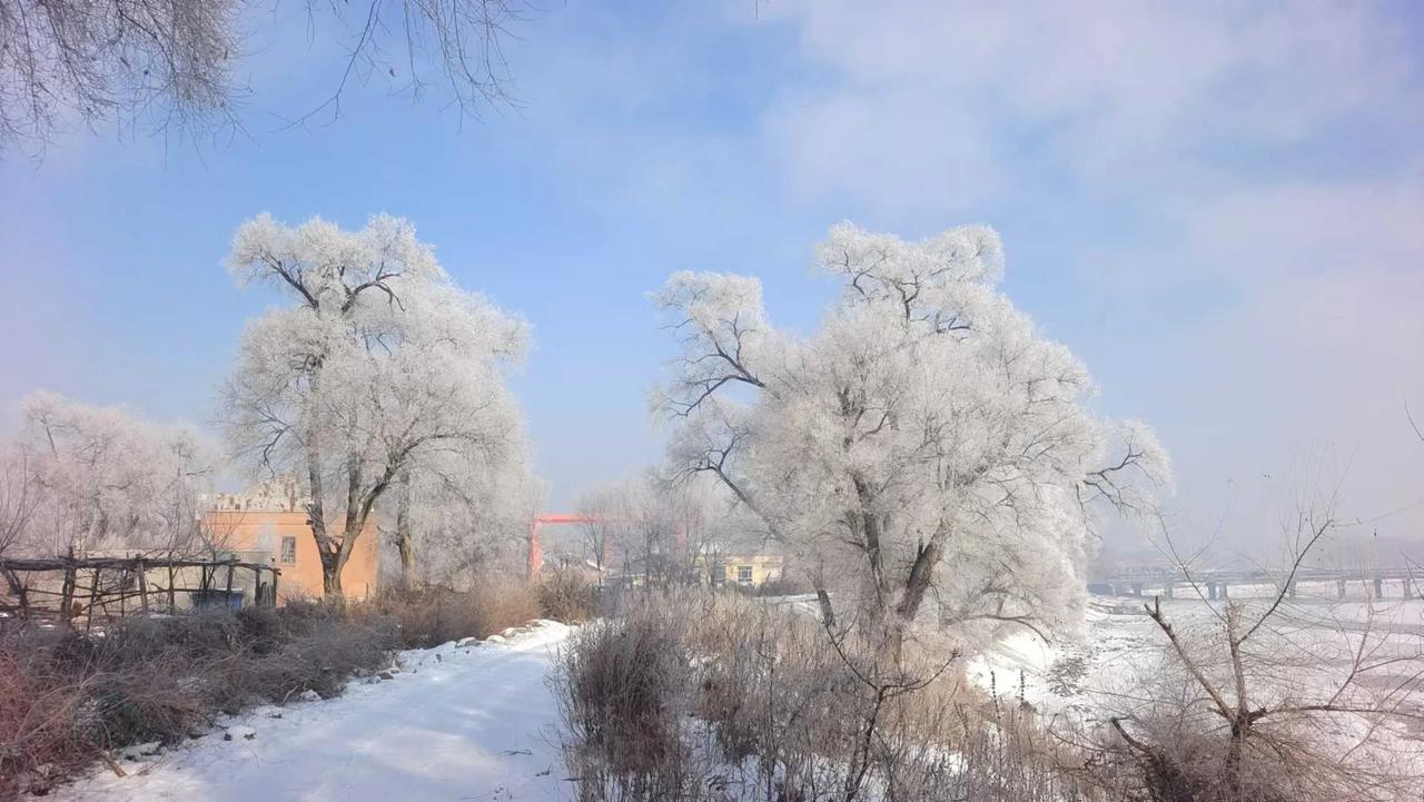 分享一下属于你的小美好最美的一定是家乡的风景，今年哈尔滨不算冷，就出现了美丽的雾