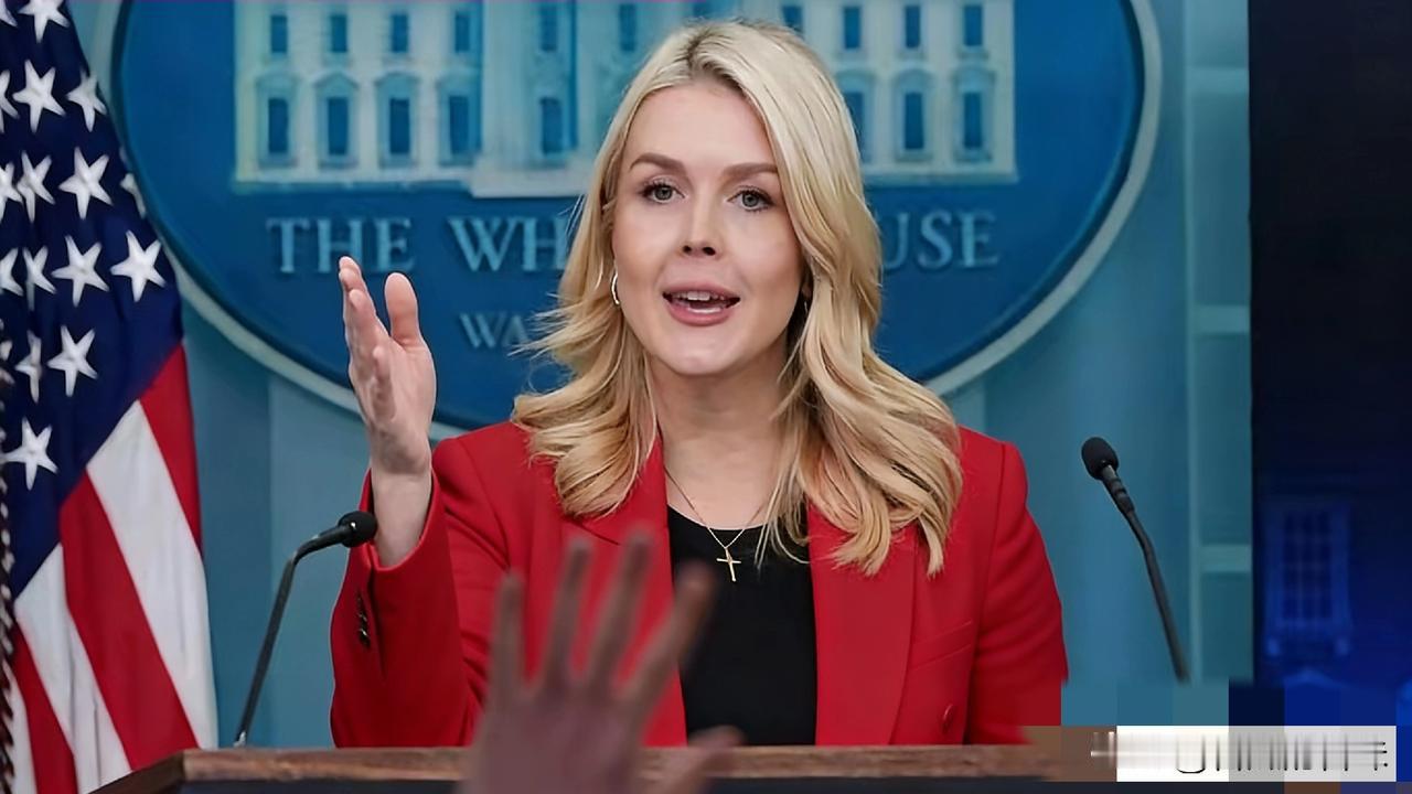 白宫传来新消息
4月21日，白宫新闻秘书莱维特突然对媒体放话，说美国和伊朗正处于