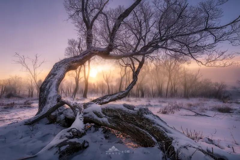 对联这玩意儿真是中华文化里的瑰宝，雅俗共赏还实用，红白喜事都少不了它。就像清朝那