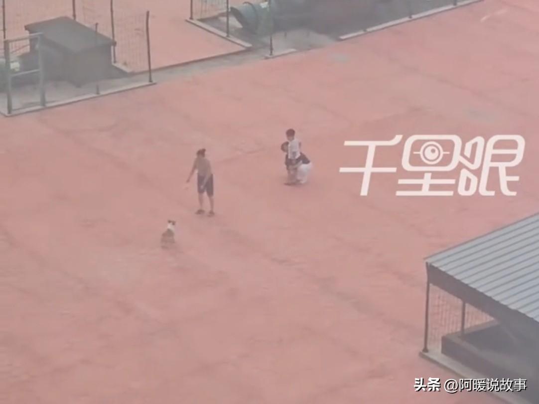山东聊城，一只柯基突然围着小孩低吼扑冲，想咬人。主人忙喝止，狗后退了一步，下一秒