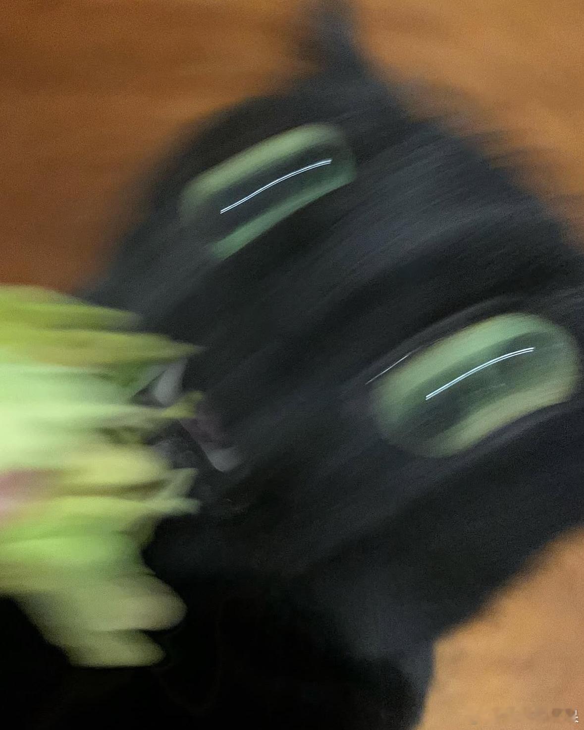 吃东西的黑猫🥬🐈⬛cr：charlieetheblackcat 